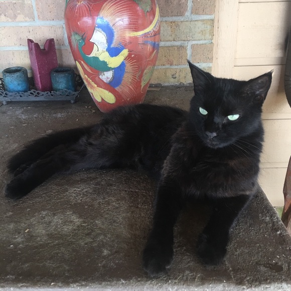 Welcome to my Closet! PearlGoodBones LOVE POSHING - Picture 3 of 6